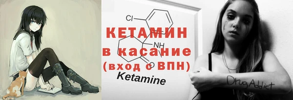 крисы Алексин