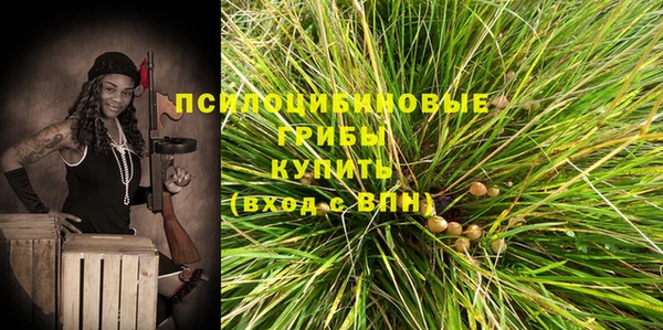 крисы Алексин