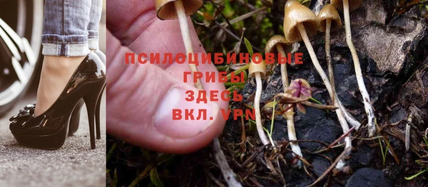 дживик Алексеевка