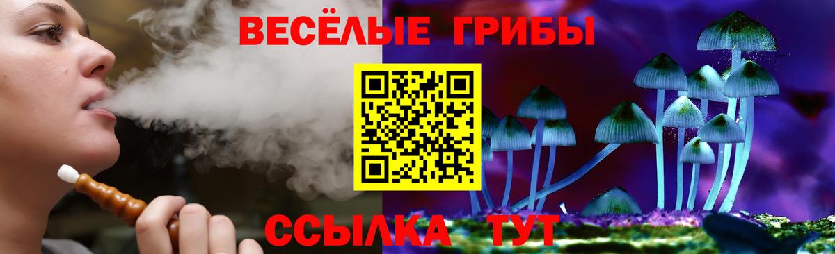 цена   Галлюциногенные грибы Cubensis  Вход с VPN  Красноперекопск 
